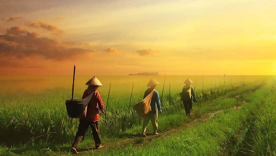CONTOH 2